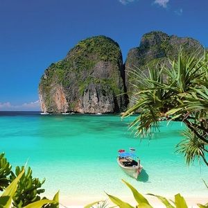 Meet your Posher, Misty